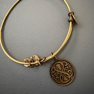 Alex and Ani Gold Tone Energy Charm Bangle Bracelet with Disc Charms
